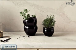 Fifth Avenue Benchtop Options (Stone & Timber Top Only) -Bathroom Supplies Sales Store Calacatta20Nuvo20513120Gloss 1200x800 1