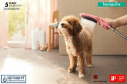 Hansgrohe Dogs Hand Shower 150 3jet Select -Bathroom Supplies Sales Store dog20shower2020img2 1200x800 1